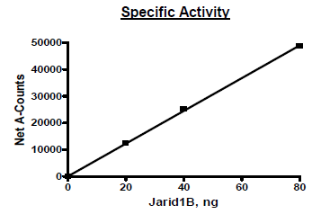 JARID1B (KDM5B), Full Length, FLAG-tag Recombinant – Figure 1 of 2