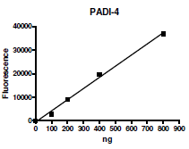 PADI4, FLAG-tag Recombinant – Figure 1 of 2