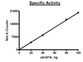 JARID1A (KDM5A), His-Avi-tags, FLAG-tag Recombinant – Figure 1 of 2