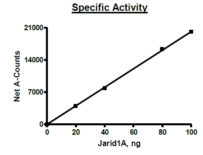 JARID1A (KDM5A), His-Avi-tags, FLAG-tag Recombinant – Figure 1 of 2