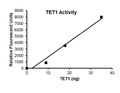 TET1, FLAG-tag Recombinant – Figure 1 of 2