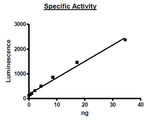 ACC2, His-Tag Recombinant – Figure 1 of 2