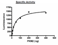 PKM2 (PKM2/Variant 1), His-Tag Recombinant – Figure 1 of 2