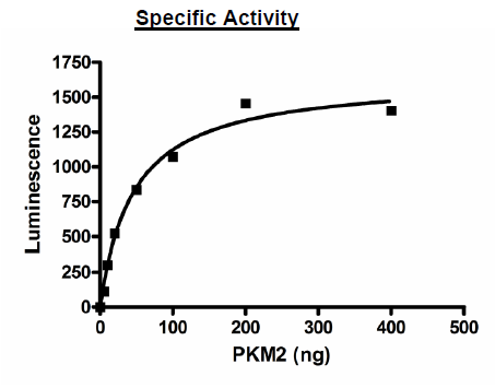 PKM2 (PKM2/Variant 1), His-Tag Recombinant – Figure 1 of 2