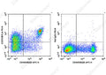 PE Anti-Mouse CD272/BTLA Antibody[PK18.6] – Figure 1 of 2