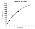 EZH2/EED/SUZ12/RbAp48/AEBP2, FLAG-tag, His-tag Recombinant – Figure 1 of 2