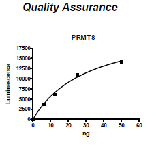PRMT8, His-FLAG-tags Recombinant – Figure 1 of 2