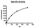 DNMT1, GST-tag Recombinant – Figure 1 of 3