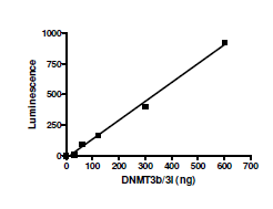 DNMT3B/DNMT3L Complex, His-tag, GST-tag Recombinant – Figure 1 of 2