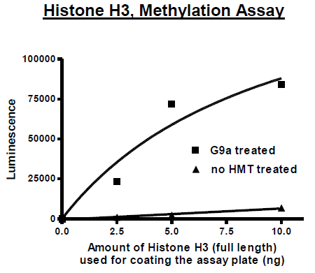 Histone H3, Full Length, His-tag Recombinant – Figure 1 of 2