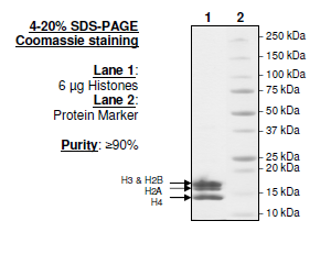 Native Core Histone Octamers – Figure 1 of 2