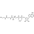 3’-Dephosphocoenzyme A, Sodium Salt — Lyophilized powder, purity ≥ 95%, MW 687.55 g/mol (free acid basis), C21H33N7O13P2S · xNa. Coenza biochemical available from BioHippo.