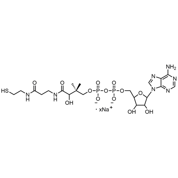 3’-Dephosphocoenzyme A, Sodium Salt — Lyophilized powder, purity ≥ 95%, MW 687.55 g/mol (free acid basis), C21H33N7O13P2S · xNa. Coenza biochemical available from BioHippo.