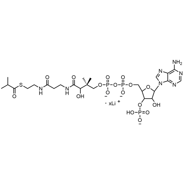Isobutyryl Coenzyme A, Lithium salt — Lyophilized powder, purity ≥ 95%, MW 837.62 g/mol (free acid basis), C25H39N7O17P3S · xLi. Coenza biochemical available from BioHippo.
