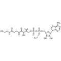 3’-Dephosphocoenzyme A, Lithium Salt — Lyophilized powder, purity ≥ 95%, MW 687.55 g/mol (free acid basis), C21H33N7O13P2S · xLi. Coenza biochemical available from BioHippo.