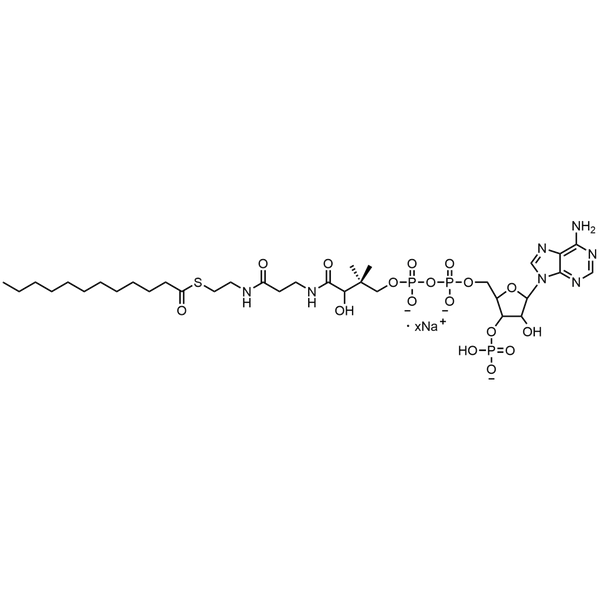 Lauroyl Coenzyme A, Sodium salt — Lyophilized powder, purity ≥ 95%, MW 949.84 g/mol (free acid basis), C33H55N7O17P3S · xNa. Coenza biochemical available from BioHippo.