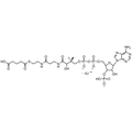 Glutaryl Coenzyme A, Lithium salt — Lyophilized powder, purity ≥ 95%, MW 881.63 g/mol (free acid basis), C26H39N7O19P3S · xLi. Coenza biochemical available from BioHippo.