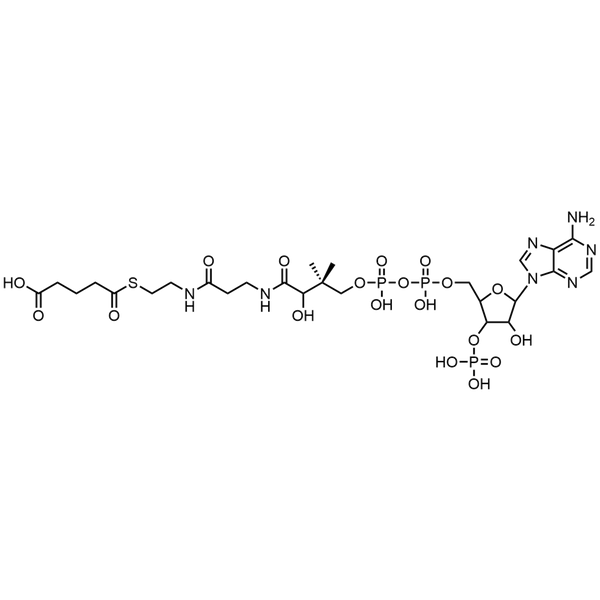 Glutaryl Coenzyme A, Free acid — Lyophilized powder, purity ≥ 95%, MW 881.63 g/mol, C26H42N7O19P3S. Coenza biochemical available from BioHippo.