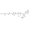 Hexanoyl Coenzyme A, Lithium salt — Lyophilized powder, purity ≥ 95%, MW 865.68 g/mol (free acid basis), C27H43N7O17P3S · xLi. Coenza biochemical available from BioHippo.