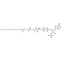 Palmitoyl Coenzyme A, Free acid — Lyophilized powder, purity ≥ 95%, MW 1005.95 g/mol, C37H66N7O17P3S. Coenza biochemical available from BioHippo.