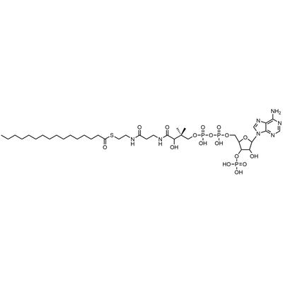 Palmitoyl Coenzyme A, Free acid — Lyophilized powder, purity ≥ 95%, MW 1005.95 g/mol, C37H66N7O17P3S. Coenza biochemical available from BioHippo.