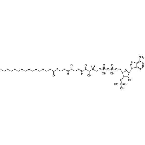 Palmitoyl Coenzyme A, Free acid — Lyophilized powder, purity ≥ 95%, MW 1005.95 g/mol, C37H66N7O17P3S. Coenza biochemical available from BioHippo.