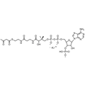 Acetoacetyl Coenzyme A, Lithium salt — Lyophilized powder, purity ≥ 95%, MW 851.61 g/mol (free acid basis), C25H37N7O18P3S · xLi. Coenza biochemical available from BioHippo.