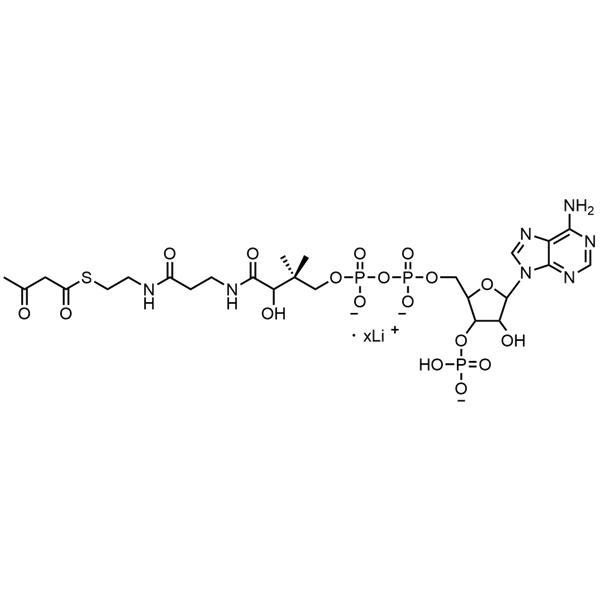 Acetoacetyl Coenzyme A, Lithium salt — Lyophilized powder, purity ≥ 95%, MW 851.61 g/mol (free acid basis), C25H37N7O18P3S · xLi. Coenza biochemical available from BioHippo.