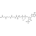Succinyl Coenzyme A, Lithium salt — Lyophilized powder, purity ≥ 95%, MW 867.61 g/mol (free acid basis), C25H37N7O19P3S · xLi. Coenza biochemical available from BioHippo.