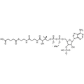 Glutaryl Coenzyme A, Sodium salt — Lyophilized powder, purity ≥ 95%, MW 881.63 g/mol (free acid basis), C26H39N7O19P3S · xNa. Coenza biochemical available from BioHippo.