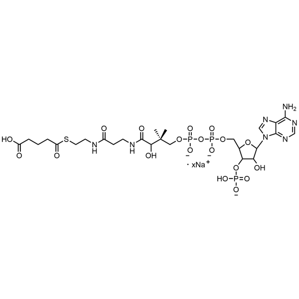 Glutaryl Coenzyme A, Sodium salt — Lyophilized powder, purity ≥ 95%, MW 881.63 g/mol (free acid basis), C26H39N7O19P3S · xNa. Coenza biochemical available from BioHippo.