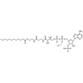 Lauroyl Coenzyme A, Lithium salt — Lyophilized powder, purity ≥ 95%, MW 949.84 g/mol (free acid basis), C33H55N7O17P3S · xLi. Coenza biochemical available from BioHippo.