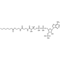 Octanoyl Coenzyme A, Free acid — Lyophilized powder, purity ≥ 95%, MW 893.73 g/mol, C29H50N7O17P3S. Coenza biochemical available from BioHippo.