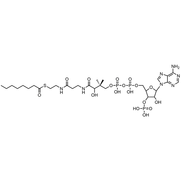 Octanoyl Coenzyme A, Free acid — Lyophilized powder, purity ≥ 95%, MW 893.73 g/mol, C29H50N7O17P3S. Coenza biochemical available from BioHippo.