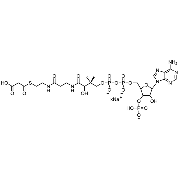 Malonyl Coenzyme A, Sodium salt — Lyophilized powder, purity ≥ 95%, MW 853.58 g/mol (free acid basis), C24H35N7O19P3S · xNa. Coenza biochemical available from BioHippo.