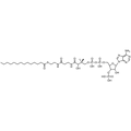 Myristoyl Coenzyme A, Free acid — Lyophilized powder, purity ≥ 95%, MW 977.89 g/mol, C35H62N7O17P3S. Coenza biochemical available from BioHippo.