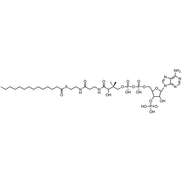 Myristoyl Coenzyme A, Free acid — Lyophilized powder, purity ≥ 95%, MW 977.89 g/mol, C35H62N7O17P3S. Coenza biochemical available from BioHippo.