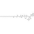 Stearoyl Coenzyme A, Sodium salt — Lyophilized powder, purity ≥ 95%, MW 1034.00 g/mol (free acid basis), C39H67N7O17P3S · xNa. Coenza biochemical available from BioHippo.