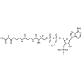 Methylmalonyl Coenzyme A, Lithium salt — Lyophilized powder, purity ≥ 95%, MW 867.61 g/mol (free acid basis), C25H37N7O19P3S · xLi. Coenza biochemical available from BioHippo.