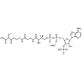 Ethylmalonyl Coenzyme A, Sodium salt — Lyophilized powder, purity ≥ 95%, MW 881.63 g/mol (free acid basis), C26H39N7O19P3S · xNa. Coenza biochemical available from BioHippo.