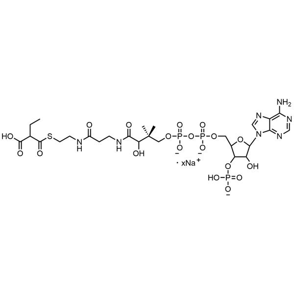 Ethylmalonyl Coenzyme A, Sodium salt — Lyophilized powder, purity ≥ 95%, MW 881.63 g/mol (free acid basis), C26H39N7O19P3S · xNa. Coenza biochemical available from BioHippo.