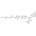Hexanoyl Coenzyme A, Free acid — Lyophilized powder, purity ≥ 95%, MW 865.68 g/mol, C27H46N7O17P3S. Coenza biochemical available from BioHippo.