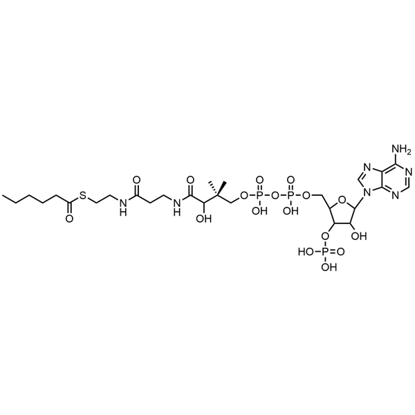 Hexanoyl Coenzyme A, Free acid — Lyophilized powder, purity ≥ 95%, MW 865.68 g/mol, C27H46N7O17P3S. Coenza biochemical available from BioHippo.