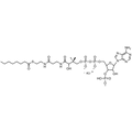 Octanoyl Coenzyme A, Lithium salt — Lyophilized powder, purity ≥ 95%, MW 893.73 g/mol (free acid basis), C29H47N7O17P3S · xLi. Coenza biochemical available from BioHippo.