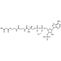 Malonyl Coenzyme A, Lithium salt — Lyophilized powder, purity ≥ 95%, MW 853.58 g/mol (free acid basis), C24H35N7O19P3S · xLi. Coenza biochemical available from BioHippo.