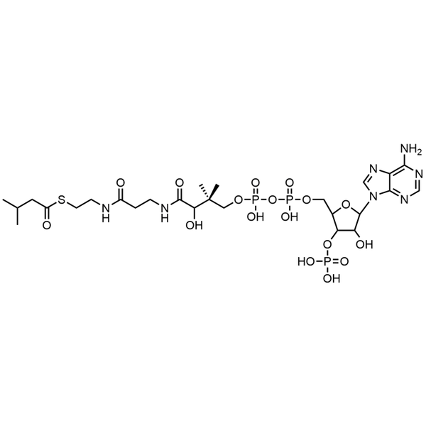 Isovaleryl Coenzyme A, Free acid — Lyophilized powder, purity ≥ 95%, MW 851.65 g/mol, C26H44N7O17P3S. Coenza biochemical available from BioHippo.