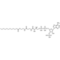 Lauroyl Coenzyme A, Free acid — Lyophilized powder, purity ≥ 95%, MW 949.84 g/mol, C33H58N7O17P3S. Coenza biochemical available from BioHippo.