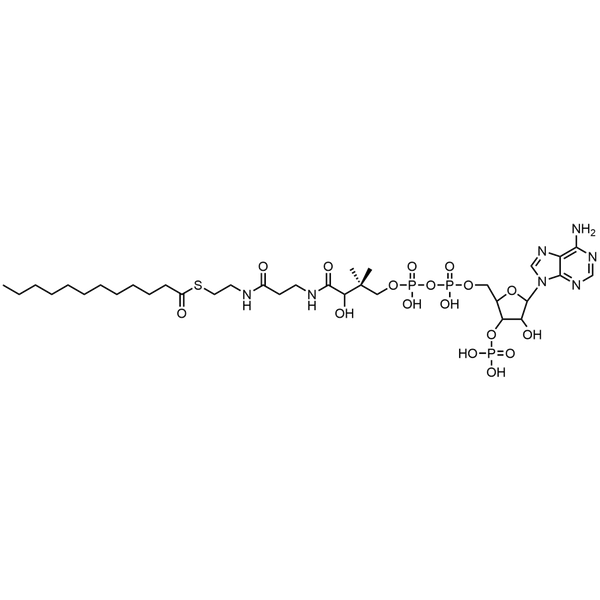 Lauroyl Coenzyme A, Free acid — Lyophilized powder, purity ≥ 95%, MW 949.84 g/mol, C33H58N7O17P3S. Coenza biochemical available from BioHippo.