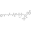 Phenylacetyl Coenzyme A, Lithium salt — Lyophilized powder, purity ≥ 95%, MW 885.67 g/mol (free acid basis), C29H39N7O17P3S · xLi. Coenza biochemical available from BioHippo.