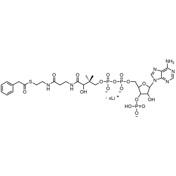 Phenylacetyl Coenzyme A, Lithium salt — Lyophilized powder, purity ≥ 95%, MW 885.67 g/mol (free acid basis), C29H39N7O17P3S · xLi. Coenza biochemical available from BioHippo.